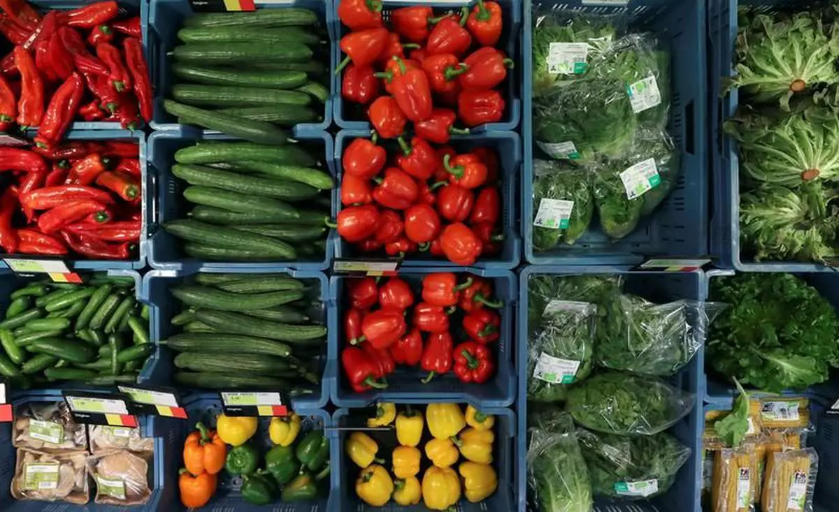 Imported vegetables on sale